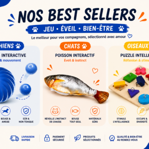 Nos Best Sellers
