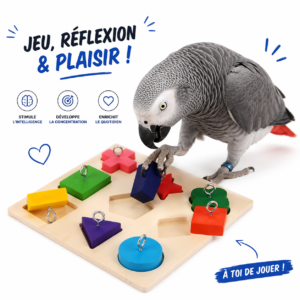 Stimulez l’intelligence et la curiosité de votre oiseau avec ce jeu éducatif pour perroquet Un puzzle ludique conçu pour développer la réflexion, la concentration et l’activité mentale tout en enrichissant le quotidien de votre compagnon à plumes.