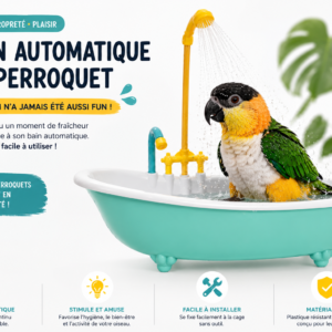baignoire automatique pour perroquet – douche ludique pour oiseaux