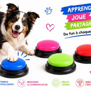 boutons interactifs pour chien – jouet éducatif et stimulant