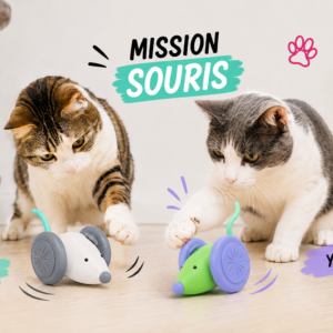 Réveillez l’instinct joueur de votre chat avec cette souris interactive amusante 🐭🐱 Un jouet ludique conçu pour stimuler la curiosité, encourager l’activité et divertir votre compagnon tout en réduisant l’ennui au quotidien.
